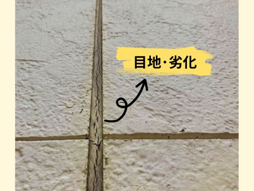 外壁の目地が劣化…田辺市での現地調査　