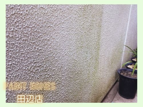 田辺市・和歌山市の外壁・屋根にカビや苔が生えたら要注意！劣化のサインと対処法