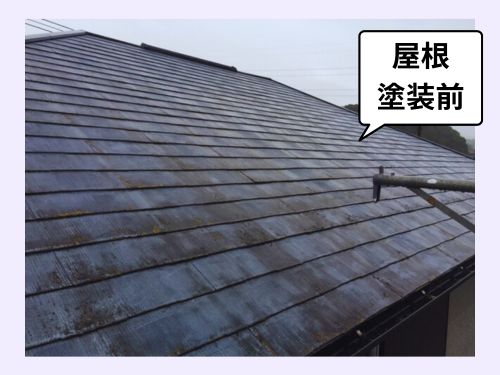 和歌山市のH様邸での屋根の現地調査～新年の挨拶2025