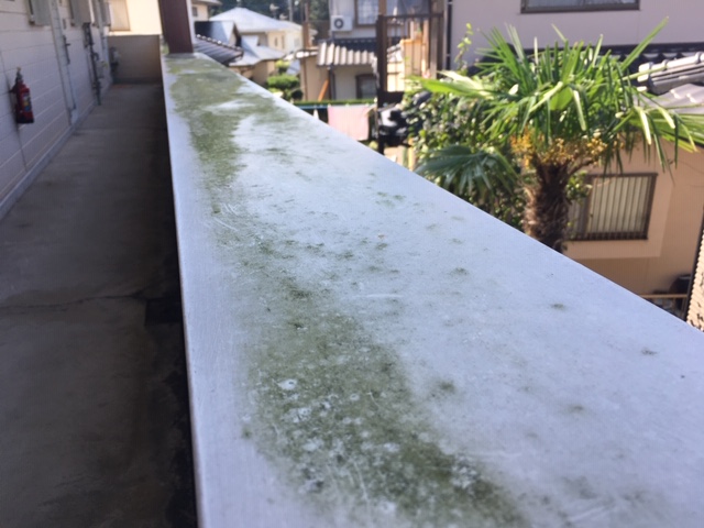 田辺市周辺 アパート笠木部分に苔や汚れが出ている状態